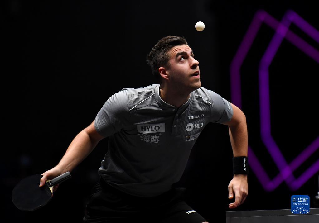 为了延续自 为了延续自