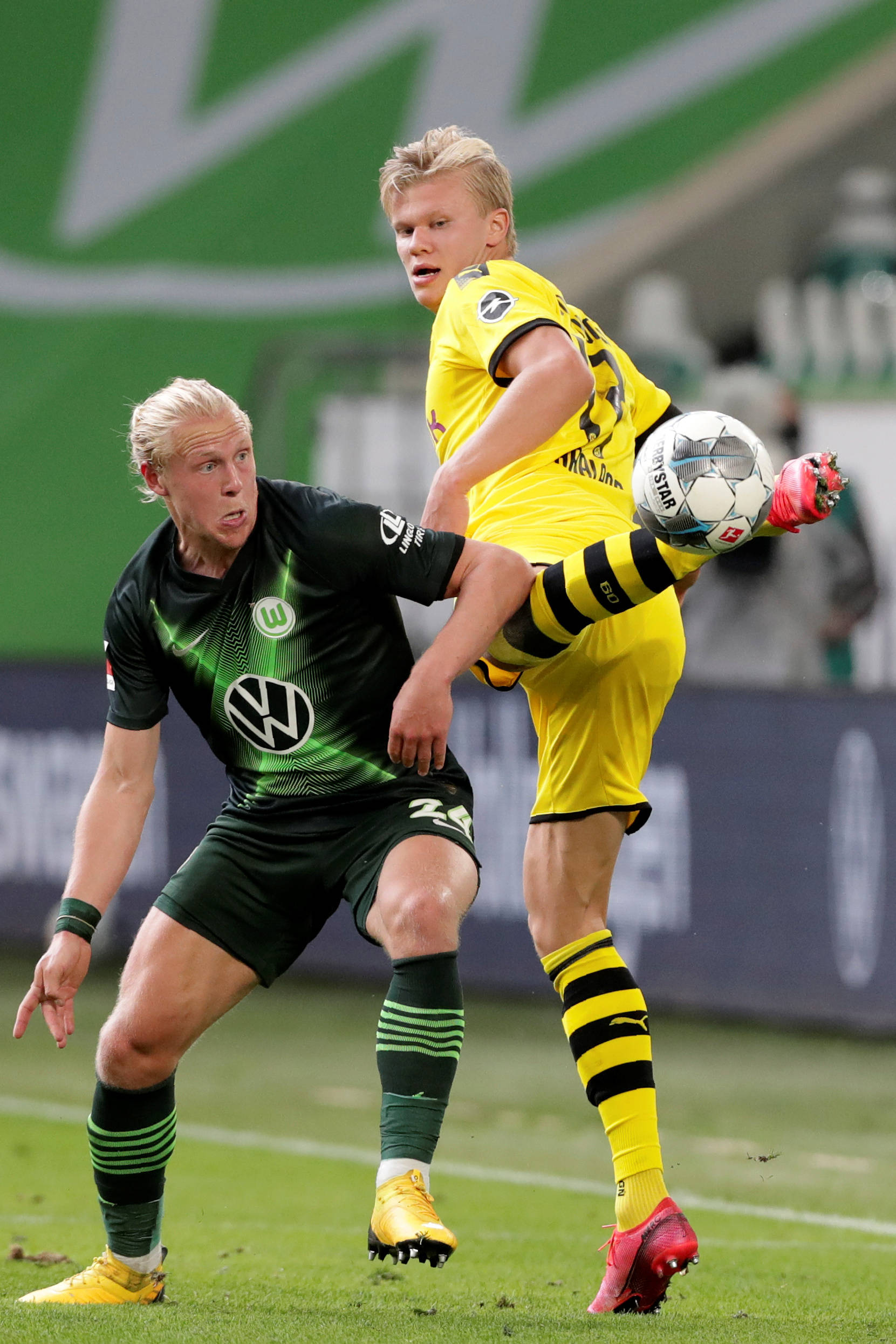 高的价格 高的价格